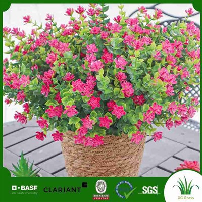 Τεχνητά συρόμενα φυτά