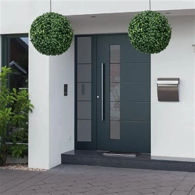 Φυτό Topiary Boxwood