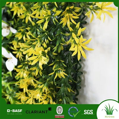 Κρεμαστά φυτά τοίχου εσωτερικού χώρου