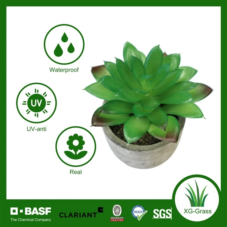 Medium Artificial Succulent Potted Plant high quality